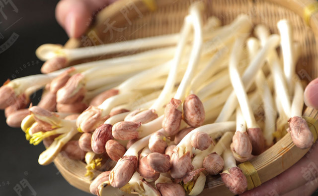 成都特色火鍋加盟店，提高員工工作效率的技巧