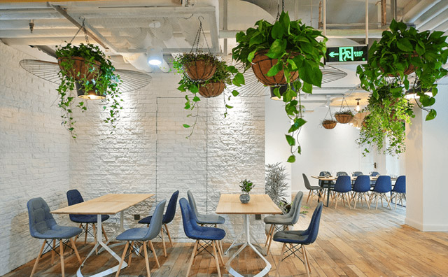 飯店剛開始就虧損，建議你從這些地方做出改變