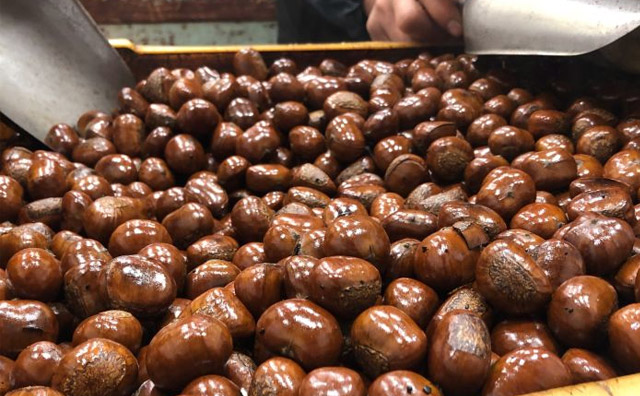 炒貨批發(fā)市場進貨渠道哪里便宜，看看分析就知道