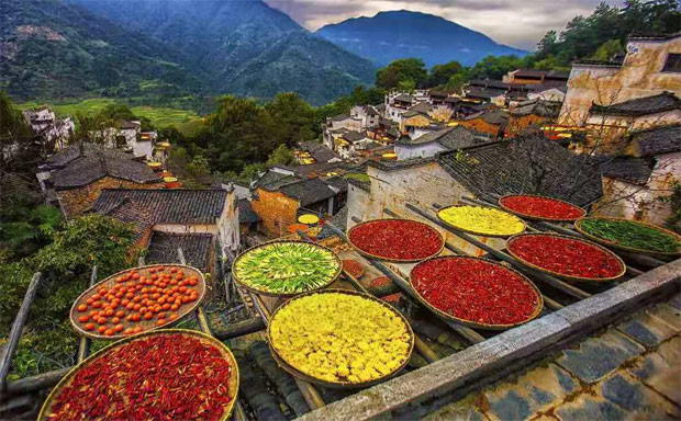 美食之花精彩綻放英雄城，第二十屆中國美食節(jié)將在南昌舉行