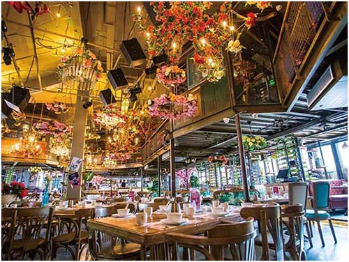 桃花洛音樂餐廳 桃花洛音樂餐廳