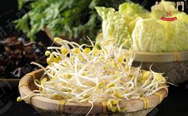 鮮菜火鍋加盟成為過去式？未來火鍋風(fēng)向標(biāo)是什么