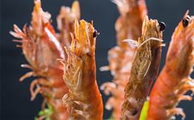 誰(shuí)說(shuō)網(wǎng)紅餐廳一無(wú)是處，這點(diǎn)就值得學(xué)習(xí)